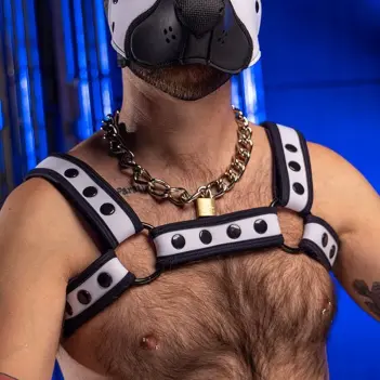 White Neoprene Bulldog Harness Mr S Leather, black hardware | Dark-Ink