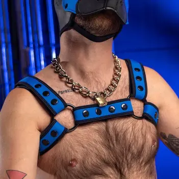 Neopren Harness Bulldog Bold Color Mr S Leather, 11 Farben | Dark-Ink