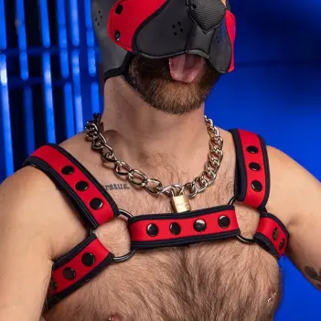 Arnés Bulldog neopreno Rojo Mr S Leather, mate 3,8 cm | Dark-Ink