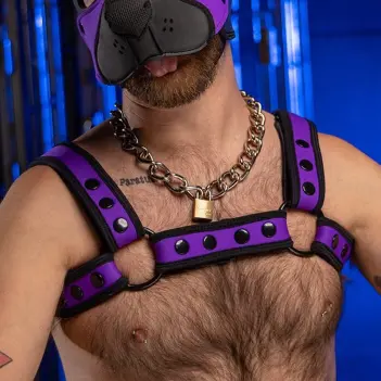 Neopren Harness Bulldog Bold Color Lila Mr S Leather | Dark-Ink