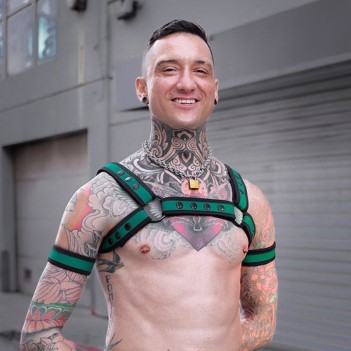 Mr S Leather Neo Bold Color Bulldog Harness Hunter
