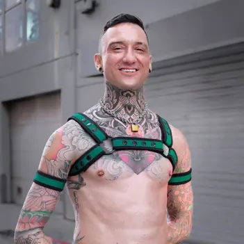 Harnais Bulldog Hunter néoprène Mr S Leather, vert tactique | Dark-Ink