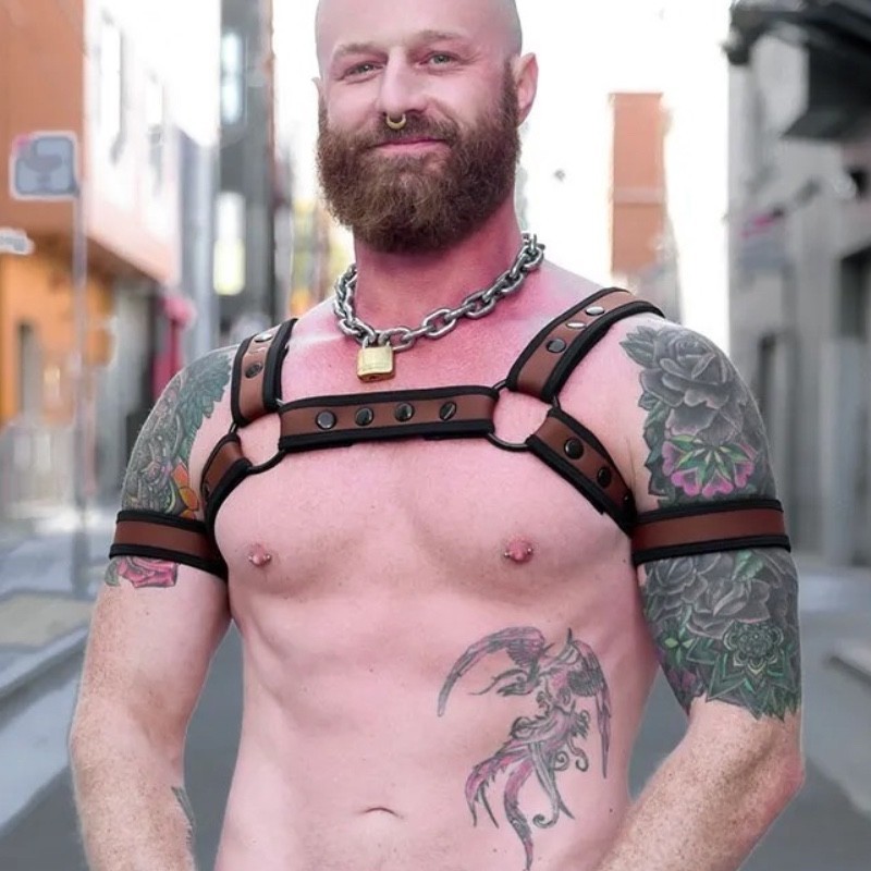 Neo bold bulldog harness Dark Brown