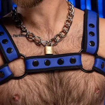 Harnais Bulldog Royal Blue Mr S Leather, néoprène mat | Dark-Ink