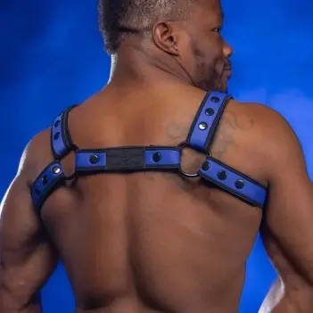 Harnais Bulldog Royal Blue Mr S Leather, néoprène mat | Dark-Ink