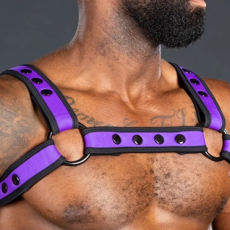 Mr S Leather Neo Bold Color Bulldog Harness Purple