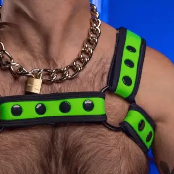 Neopren Harness Bulldog Bold Color Lime Mr S Leather | Dark-Ink