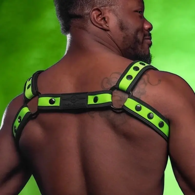 Neopren Harness Bulldog Bold Color Lime Mr S Leather | Dark-Ink