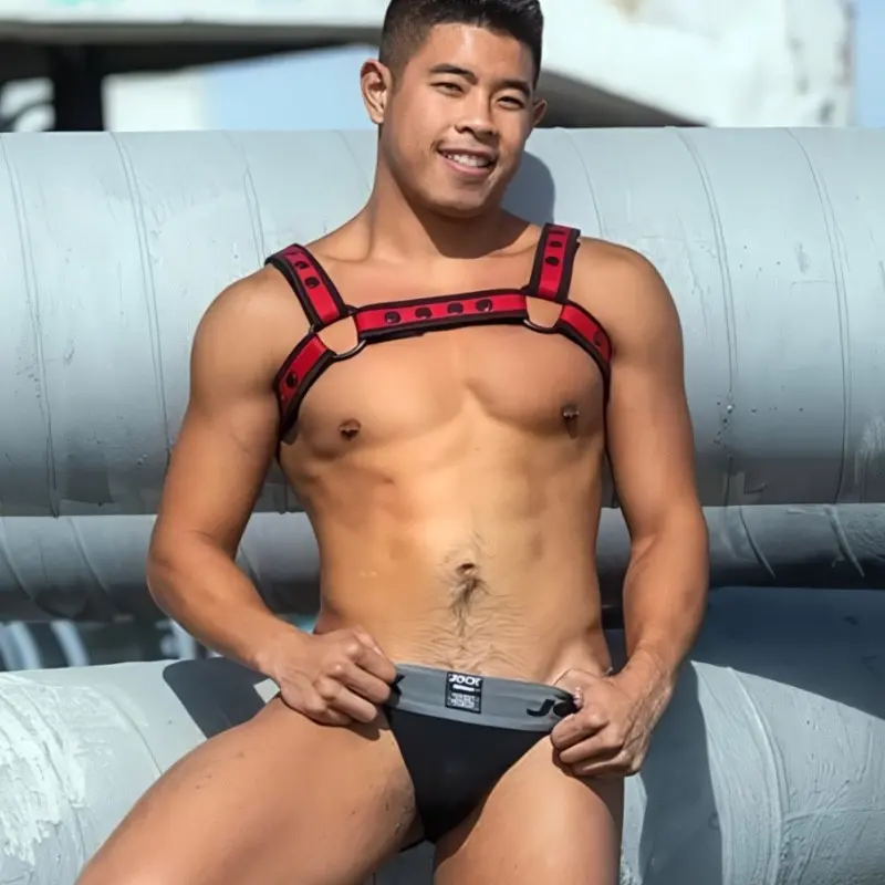 Harnais Bulldog Rouge néoprène Mr S Leather, mat 3,8 cm | Dark-Ink