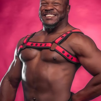 Mr S Leather Neo Bold Color Bulldog Harness Pink