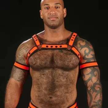 Arnés Bulldog neopreno Orange Mr S Leather, puppy | Dark-Ink