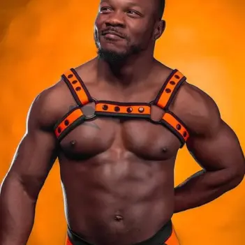 Arnés Bulldog neopreno Orange Mr S Leather, puppy | Dark-Ink