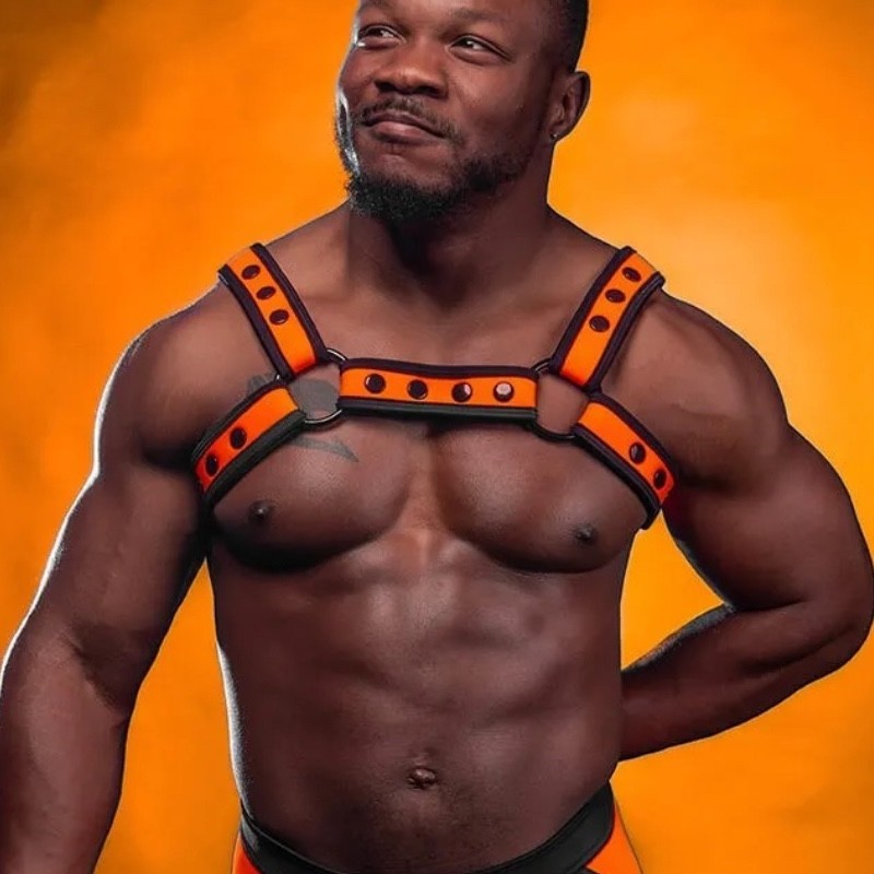 Mr S Leather Neo Bold Color Bulldog Harness Orange