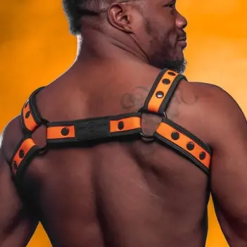 Arnés Bulldog neopreno Orange Mr S Leather, puppy | Dark-Ink