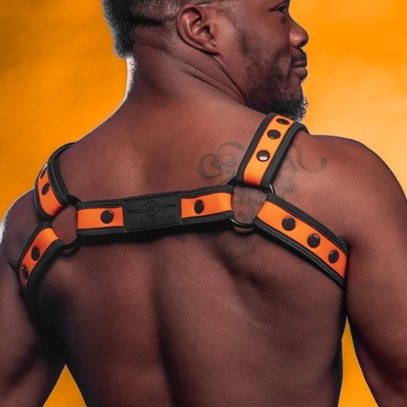 Mr S Leather Neo bold bulldog harness Orange
