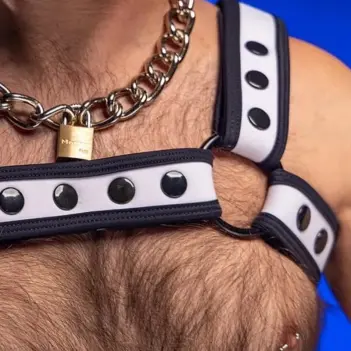 Harnais Bulldog néoprène Mr S Leather blanc | Dark-Ink