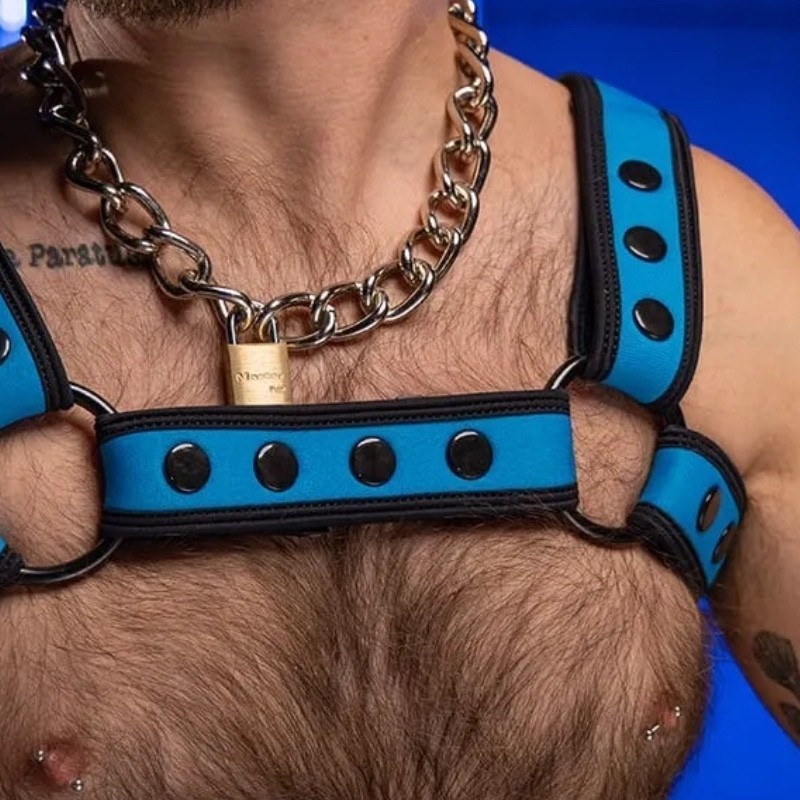 Mr S Leather Neo bold bulldog harness Aqua Blue