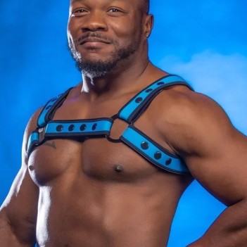 Neo bold bulldog harness Aqua Blue