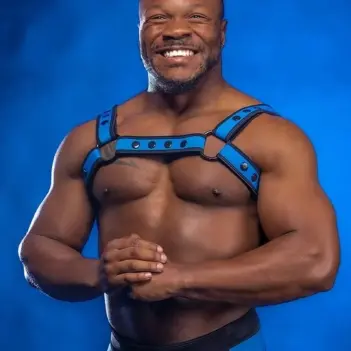 Cobalt Neoprene Bulldog Harness Mr S Leather, matched color | Dark-Ink