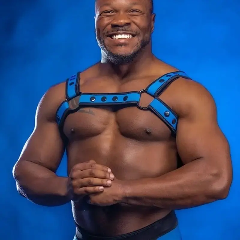 Cobalt Neoprene Bulldog Harness Mr S Leather, matched color | Dark-Ink