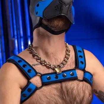 Cobalt Neoprene Bulldog Harness Mr S Leather, matched color | Dark-Ink