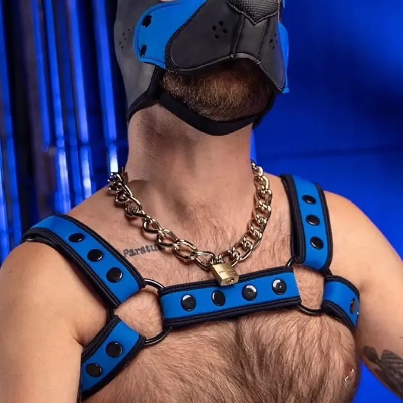Cobalt Neoprene Bulldog Harness Mr S Leather, matched color | Dark-Ink