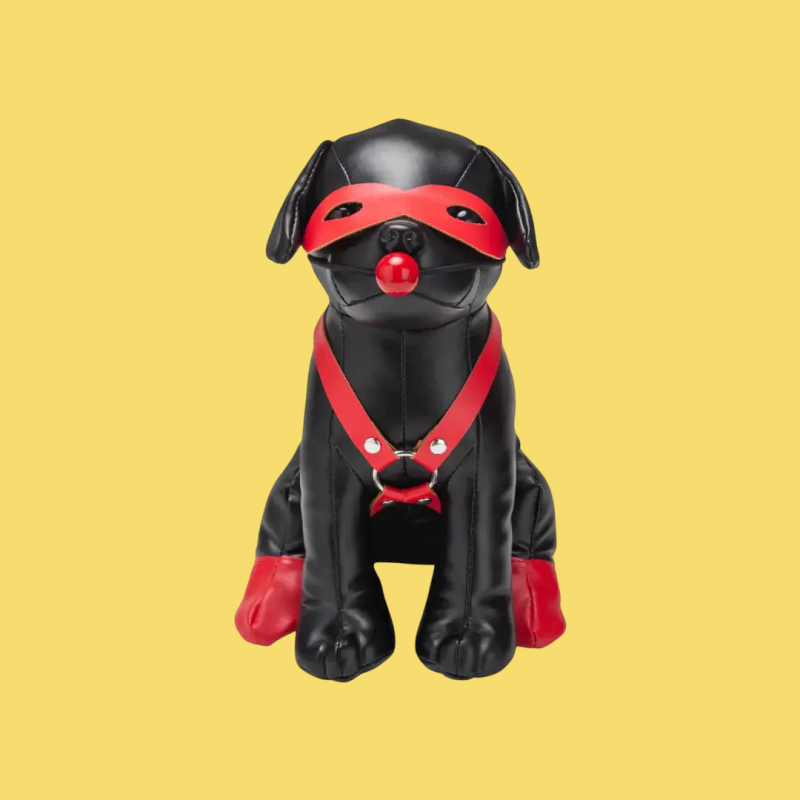 Booted up bandit dog