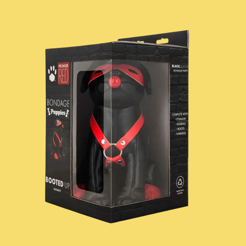 Booted up bandit dog