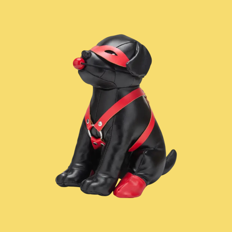 Booted up bandit dog