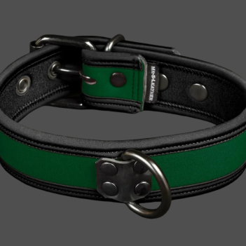 NEO BOLD COLOR PUPPY COLLAR 14 COULEURS
