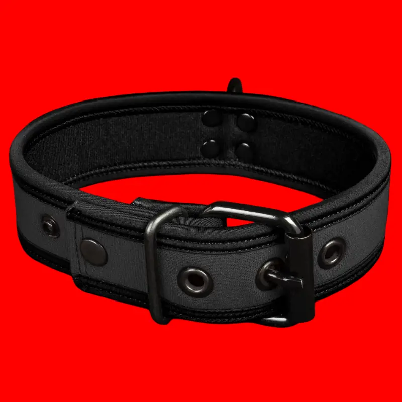 Collier puppy play Mr. S Leather Neo Bold, 14 couleurs | Dark-Ink