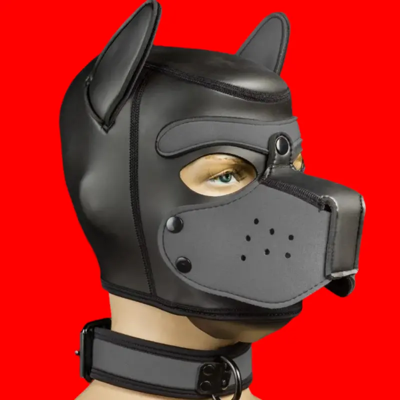 Collier puppy play Mr. S Leather Neo Bold, 14 couleurs | Dark-Ink