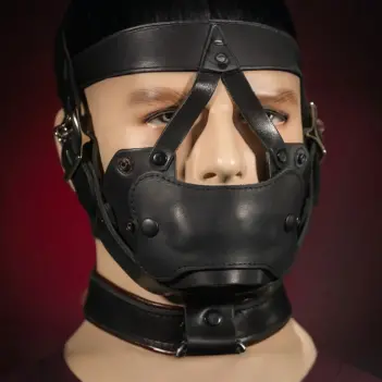 Bozal bondage dog Mr S Leather, cuero latigo 5 piezas | Dark-Ink