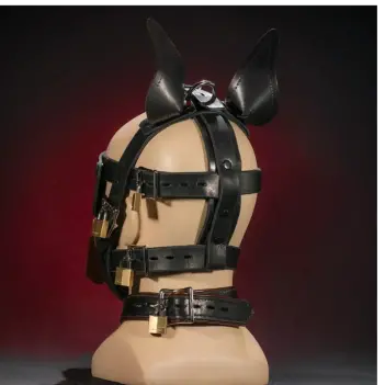 Bozal bondage dog Mr S Leather, cuero latigo 5 piezas | Dark-Ink