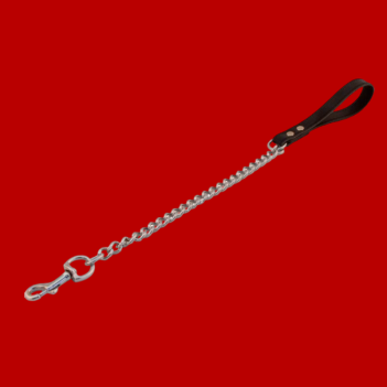 Dog Leash with Short Chain – Mister B