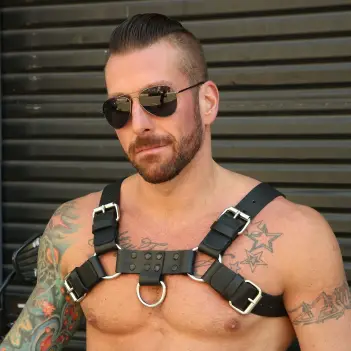 Mr S Leather Back Alley Bulldog leather harness, snap back | Dark-Ink