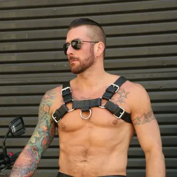 Mr S Leather Back Alley Bulldog leather harness, snap back | Dark-Ink