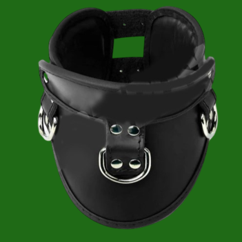 MINERVE PADDED LEATHER POSTURE COLLAR