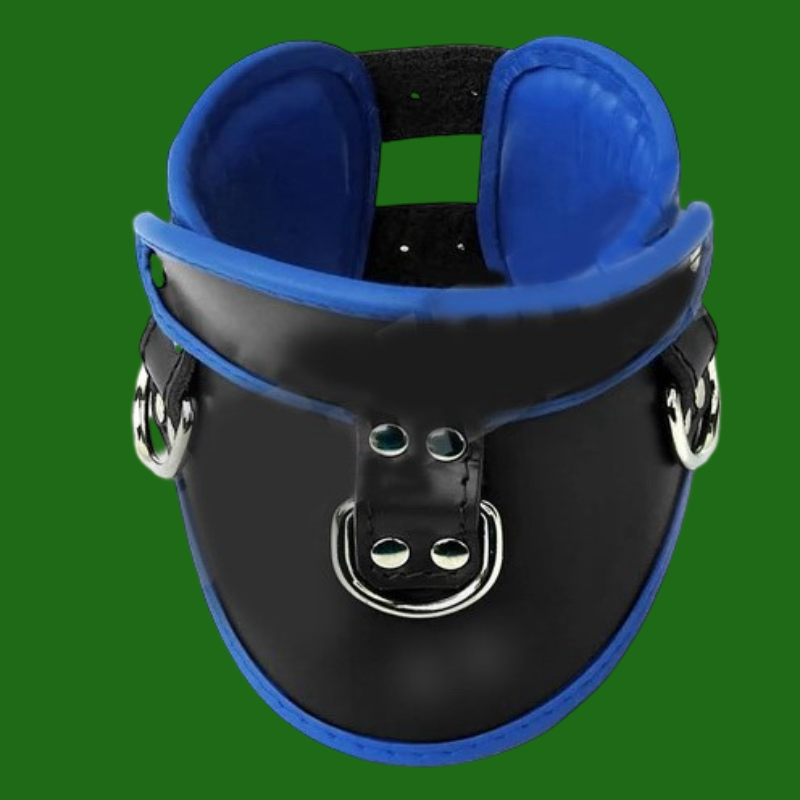 MINERVE PADDED LEATHER POSTURE COLLAR