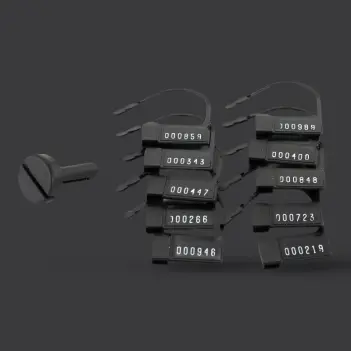 KINK3D Double Key Holder, 2 keys, chastity, numbered seal | Dark-Ink