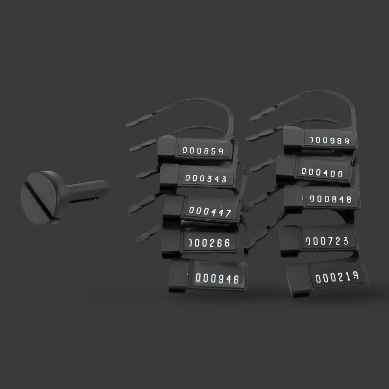 KINK3D Doppel-Schlüsselhülle, 2 Schlüssel, Keuschheit | Dark-Ink