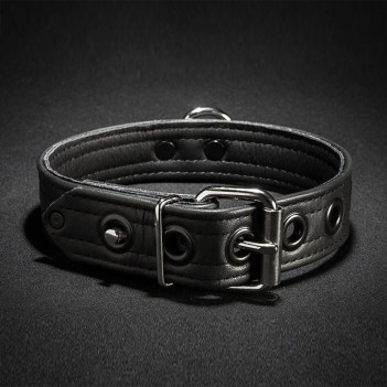 Leather puppy collar