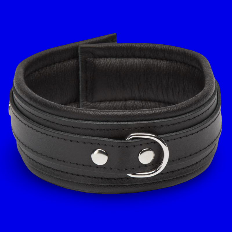 Premium Gepolstertes Halsband – Schwarz / Schwarz