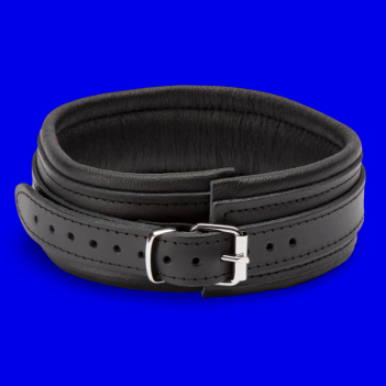 Collier Premium Rembourré – Noir / Noir