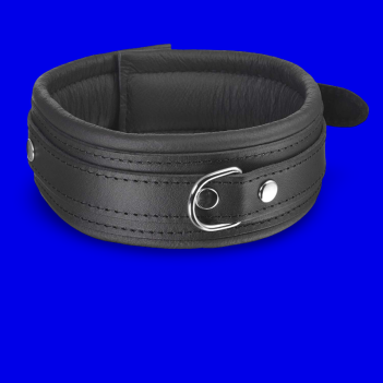 Premium Padded Leather Collar
