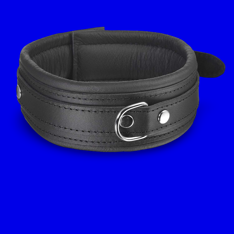 Premium Gepolstertes Halsband – Schwarz / Schwarz