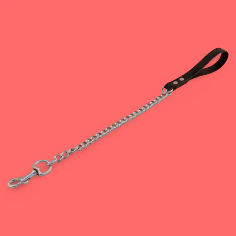 Mister B Puppy Play Leash, short chain, close control | Dark-Ink