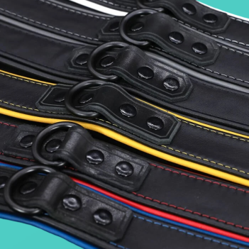 Mr S Leather HARDLINE COLLAR 11 Farben