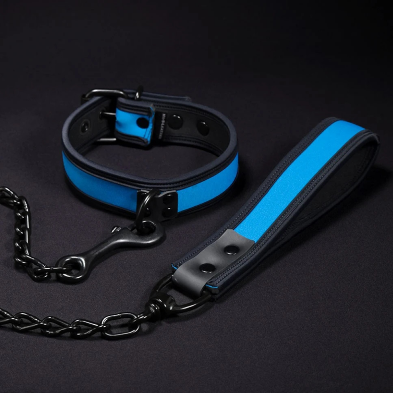 Neoprene Puppy Leash – Puppy Play Leash in 16 Colors