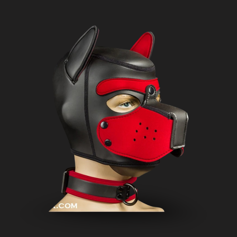 Neo Puppy Collar – Neoprene Puppy Play Collar